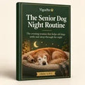 The Senior Dog Night Routine