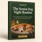The Senior Dog Night Routine